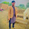 shahwaiz268layyah