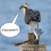 aldofugazzoli