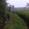 asep.bedog050