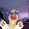 capri_479
