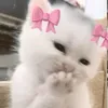 k1ki._.k1ki.7
