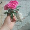 silin90