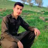 kosar_sharbazhery