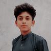 sardar.hassnain.d6