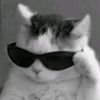 _zen_audio_rpoduction_
