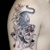 hoanghuyhieu1311