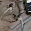 000n4me000