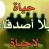 user8421975125371