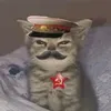 prprorjrnf