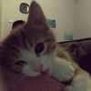neszaww0