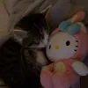 wrwrwrwzr