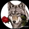 user1967907541949
