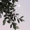 user139081199206