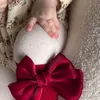 saj_17zz