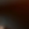 aryaa4442