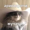 tim.luvv