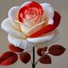 user456161186