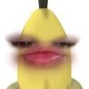 sofidelgadogarcia