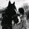 elle.para.eq