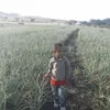 yimerkassaw660