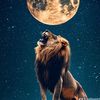 user78658tamim