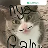xxgalaxywolfgummyxx