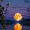 rawda.mohamed714