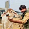mna_dairy_farm