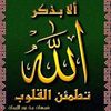 mohamedhali910