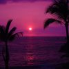 🌺🌊 🌺𝓡𝓲𝓪𝓱🌺🌊🌺