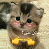 mm_ghh1