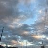 mrs_girl_019