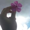 ale.ale_ramirez