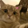 __rebkkah6