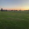 carlywade2