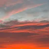liva_mw12