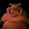 Rex