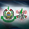 rayanhamzaezzat