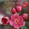 elena.lucas32