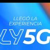 user1981993012038