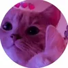 pr3su__