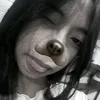 shibal_750