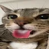 leonlikethis0