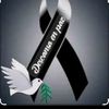 andres.silvan7