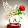 user922848443