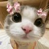 m_manusia05