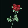 fallenroses6