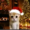 vitor_nescau1
