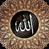 hambaallah28447