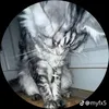 hvnnz2
